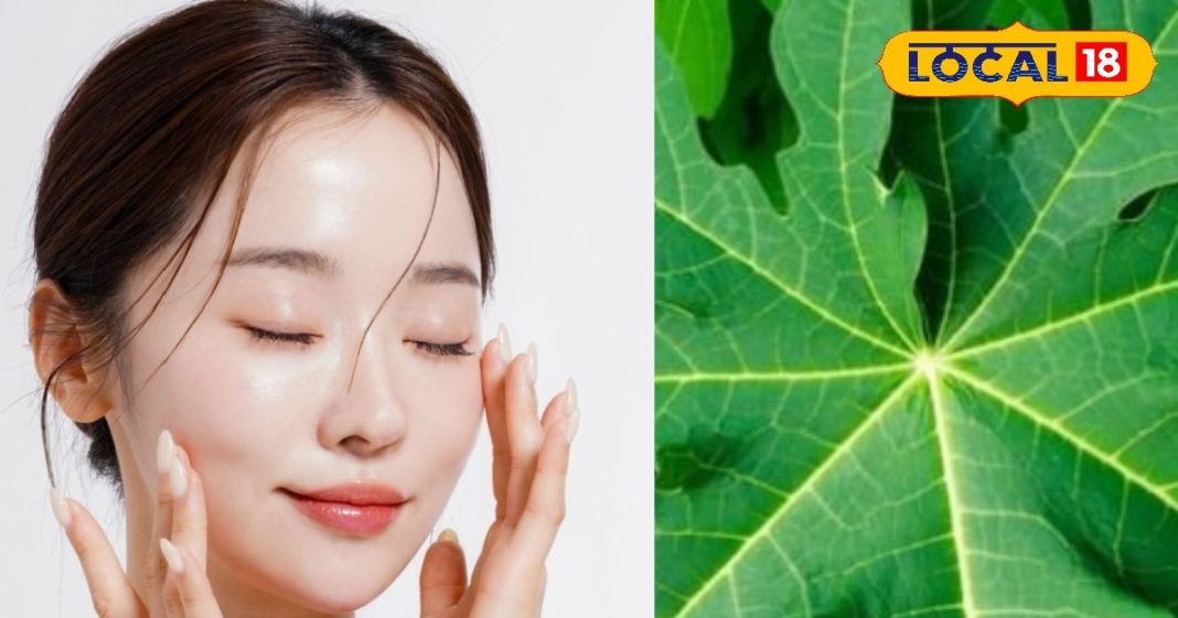 पाचन से लेकर त्वचा की समस्याओं तक… रोज़ाना करें इस फल का सेवन, डेंगू और बुखार में भी है फायदेमंद – Uttar Pradesh News