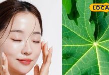 पाचन से लेकर त्वचा की समस्याओं तक… रोज़ाना करें इस फल का सेवन, डेंगू और बुखार में भी है फायदेमंद – Uttar Pradesh News