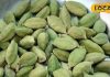 Cardamom Benefits: रोजाना चबा लें हरी इलायची, मिलेंगे जबरदस्त फायदे, चबाने की बना लेंगे आदत – Uttar Pradesh News