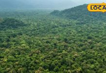 Paschim Champaran Tourism Spots: घने जंगलों और मनमोहक वादियों से घिरा है बिहार का ये पर्यटन स्थल, देखें Photos