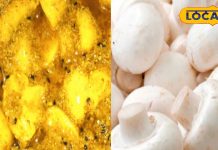 आम-नींबू नहीं, इस बार डालें मशरूम का अचार, स्वाद ऐसा कि हर कोई पूछेगी रेसिपी – Uttar Pradesh News