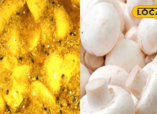 आम-नींबू नहीं, इस बार डालें मशरूम का अचार, स्वाद ऐसा कि हर कोई पूछेगी रेसिपी – Uttar Pradesh News