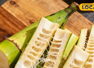 देसी स्वाद का खजाना! थोर से लेकर कमल ककड़ी तक, इन पारंपरिक सब्जियों में छिपा है सेहत का राज – Uttar Pradesh News