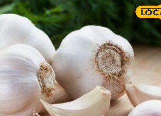 Health Tips: घर के किचन में मौजूद है ये सफेद सुपरफूड, ठंड में 20 रोगों के लिए काल