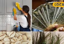 घर की सफाई में मिले ये आइटम… समझिए लग गई है आपकी लॉटरी, संभालकर रखें तिजोरी में