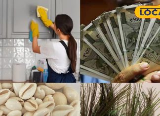 घर की सफाई में मिले ये आइटम… समझिए लग गई है आपकी लॉटरी, संभालकर रखें तिजोरी में