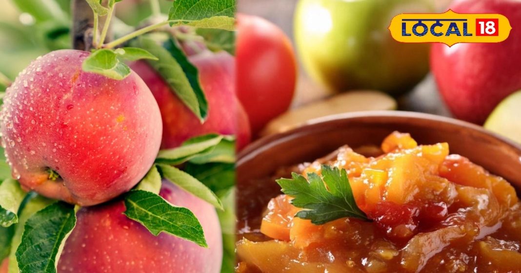 Apple Chutney: घर पर ऐसे बनाएं सेब की चटनी, स्वाद में खट्टे-मीठे और तीखेपन का संगम, उंगली चाटकर खाएंगे लोग