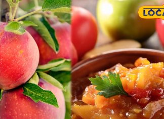 Apple Chutney: घर पर ऐसे बनाएं सेब की चटनी, स्वाद में खट्टे-मीठे और तीखेपन का संगम, उंगली चाटकर खाएंगे लोग