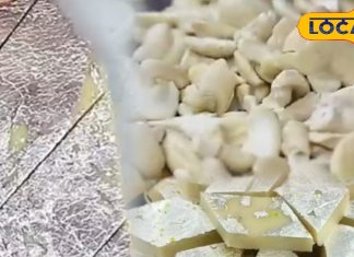 Diwali Sweet Recipe | Luxury Katli, No Gas Recipe | Quick Diwali Mithai | budget-Friendly Sweets | 10-minute Sweet Recipe | Easy Indian Dessert | Homemade Diwali Sweets | Sugar Mithai Recipe