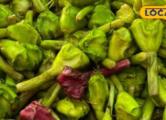 singhade-ke-fayde-in-5-logon-ke-liye-varadaan-jaane-health-benefits-and-recipes – Uttarakhand News – Bharat.one हिंदी