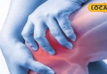 Health Tips: हड्डियों से लेकर दिल तक रखेगा दुरुस्त! इस सर्दी डाइट में शामिल करें ये सुपरफूड, हर उम्र के लिए फायदेमंद – Uttarakhand News