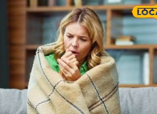 अब सर्दी-जुकाम को कहें बाय-बाय! अपनाएं ये आसान घरेलू नुस्खे, पूरे सीजन रहेंगे हेल्दी, जानें कैसे?