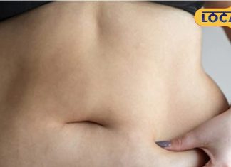 किचन में मौजूद ये 5 मसाले मोटापे के दुश्मन, पेट की चर्बी को मक्खन की तरह पिघला देंगे, एक्सपर्ट से जानें कैसे