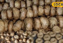 कोडरमा आए तो इस दुकान की बालूशाही लिए बिना नहीं जाते लोग, खुद भी खाते हैं, रिश्तेदारों के लिए भी पैक कराते हैं!