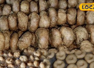 कोडरमा आए तो इस दुकान की बालूशाही लिए बिना नहीं जाते लोग, खुद भी खाते हैं, रिश्तेदारों के लिए भी पैक कराते हैं!