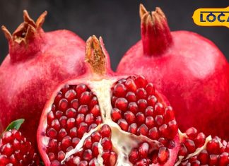 सिर्फ एक अनार रोज खाना कर दें शुरू, फिर देखें कमाल; सेहत को मिलेंगे गजब के फायदे – Uttar Pradesh News