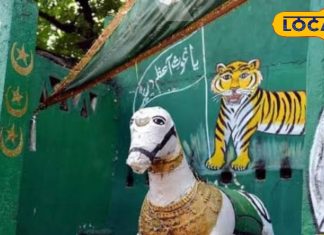 हैदराबाद की वो कब्र, जहां मालिक के साथ दफन हुआ उसका जान लुटाने वाला घोड़ा – वफादारी की अनोखी मिसाल