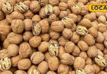 Amazing Benefits of Eating 1 Walnut on an Empty Stomach – Can It Instantly Rejuvenate Your Mind and Health? – Haryana News