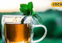 सर्दियों में रहना है फिट और तंदुरुस्त… ट्राई करें ये 5 आयुर्वेदिक ड्रिंक्स, सेहत को मिलेगा जबरदस्त लाभ