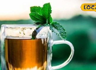 सर्दियों में रहना है फिट और तंदुरुस्त… ट्राई करें ये 5 आयुर्वेदिक ड्रिंक्स, सेहत को मिलेगा जबरदस्त लाभ