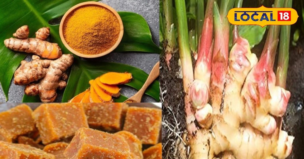 अदरक, गुड़ और हल्दी… सेहत के तीन साथी, चमत्कारिक फायदे जान आप भी हो जाएंगे हैरान – Uttar Pradesh News