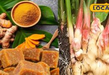अदरक, गुड़ और हल्दी… सेहत के तीन साथी, चमत्कारिक फायदे जान आप भी हो जाएंगे हैरान – Uttar Pradesh News