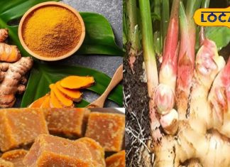 अदरक, गुड़ और हल्दी… सेहत के तीन साथी, चमत्कारिक फायदे जान आप भी हो जाएंगे हैरान – Uttar Pradesh News