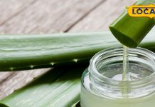 Winter Skin Care: सर्दियों में चमक उठेगा आपका चेहरा, बस अपनाएं ये 5 घरेलू उपाय और पाएं मुलायम त्वचा – Uttar Pradesh News