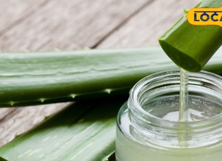 Winter Skin Care: सर्दियों में चमक उठेगा आपका चेहरा, बस अपनाएं ये 5 घरेलू उपाय और पाएं मुलायम त्वचा – Uttar Pradesh News