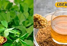 रसोई के छोटे-छोटे दाने करते हैं बड़ा कमाल! पानी में भिगोकर पीने से सेहत को मिलते हैं गजब के फायदे