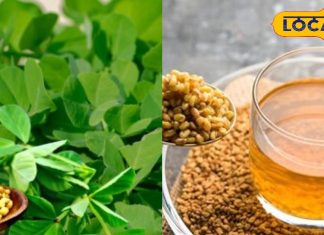 रसोई के छोटे-छोटे दाने करते हैं बड़ा कमाल! पानी में भिगोकर पीने से सेहत को मिलते हैं गजब के फायदे