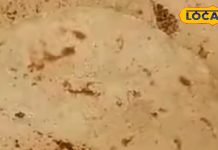 बढ़ते वजन को कंट्रोल कर देगी इस आटे की रोटी, डाइट में शामिल करने से मिलेंगे कई फायदे