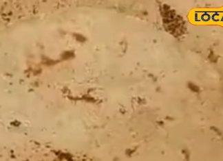 बढ़ते वजन को कंट्रोल कर देगी इस आटे की रोटी, डाइट में शामिल करने से मिलेंगे कई फायदे