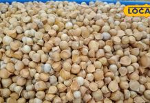 2000 किलो वाला ये पहाड़ी लहसुन… गायब कर देगा शुगर, कोलेस्ट्रॉल! जानें कहां मिलेगा? – Uttarakhand News