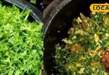 गाजर की पत्तियों को न समझें बेकार, सेहत का छिपा खजाना है, घर पर बनाएं स्वादिष्ट सब्जी, नोट कर लें रेसिपी