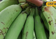 वजन, ब्लड प्रेशर और पाचन सब कंट्रोल में….. ये नुस्खा है रामबाण, शरीर रहेगा हमेशा फिट और एनर्जेटिक