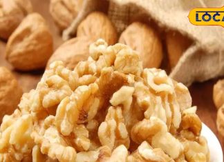 Walnut Benefits: हर रोज खाली पेट अखरोट का करें सेवन, खाने से मिलेंगे 5 आश्चर्यजनक फायदे – Uttar Pradesh News