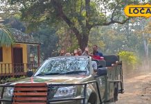 VTR में शुरू हुआ जंगल सफारी का सिलसिला, मॉनसून के बाद फिर शुरू हुई सेवा, नौका विहार का भी मिलेगा मजा