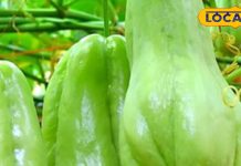 हेल्थ का हीरो…इसकोस खाओ, रोग भगाओ, जानिए ‘इसकोस’ के गजब फायदे