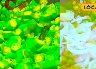 भिंडी खाने के हैं शौकीन तो एक बार जरूर ट्राई करें ये रेसिपी, उंगलियां चाटते रह जाएंगे खाने वाले