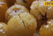 Health Tips: महंगे सप्लीमेंट्स छोड़िए, इस सर्दी अपनाएं दादी-नानी वाले 100 साल पुराने ये नुस्खे! इम्यूनिटी होगी स्ट्रांग – Uttar Pradesh News