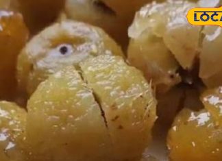 Health Tips: महंगे सप्लीमेंट्स छोड़िए, इस सर्दी अपनाएं दादी-नानी वाले 100 साल पुराने ये नुस्खे! इम्यूनिटी होगी स्ट्रांग – Uttar Pradesh News