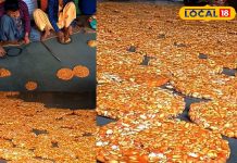 भरतपुर में गजक की धूम! मूंगफली और गुड़ की खुशबू से महक उठा पूरा शहर, मुंह में घुला देसी स्वाद