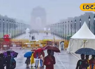 सिर्फ पैसे की बर्बादी.. आर्टिफिशियल रेन से प्रदूषण नहीं होता है कम, दिल्ली की जहरीली हवा पर एनवायरनमेंटलिस्ट सुनील दहिया