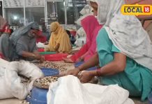 Makhana nine qualities know grading and prices