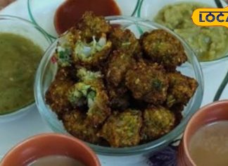 Recipe: पकौड़ी का बादशाह है मूंग दाल के मंगोड़े, रीवा वालों की फेवरेट, नोट करें रेसिपी – Madhya Pradesh News