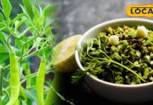 Recipe: बना लिया ये चोखा तो दाल-सब्जी की नहीं पड़ेगी जरूरत, ऐसे ही चट होगी पूरी प्लेट! ऐसा होता है बिहारी मिर्च चोखा