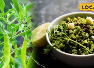 Recipe: बना लिया ये चोखा तो दाल-सब्जी की नहीं पड़ेगी जरूरत, ऐसे ही चट होगी पूरी प्लेट! ऐसा होता है बिहारी मिर्च चोखा