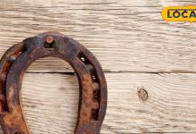 शनिवार के दिन करें सरसों तेल, घोड़े की नाल वाला ये उपाय… दूर हो जाएगा शनि दोष! जानें विधि