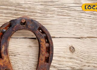 рд╢рдирд┐рд╡рд╛рд░ рдХреЗ рджрд┐рди рдХрд░реЗрдВ рд╕рд░рд╕реЛрдВ рддреЗрд▓, рдШреЛреЬреЗ рдХреА рдирд╛рд▓ рд╡рд╛рд▓рд╛ рдпреЗ рдЙрдкрд╛рдп… рджреВрд░ рд╣реЛ рдЬрд╛рдПрдЧрд╛ рд╢рдирд┐ рджреЛрд╖! рдЬрд╛рдиреЗрдВ рд╡рд┐рдзрд┐